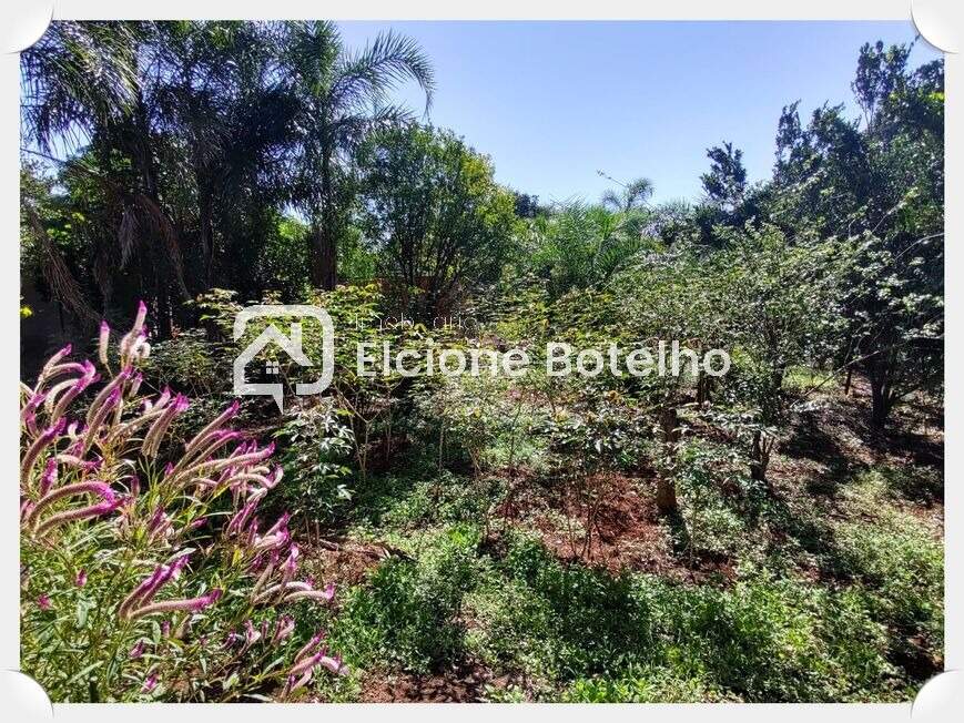 Chácara à venda no AREA RURAL DE UBERLANDIA: 