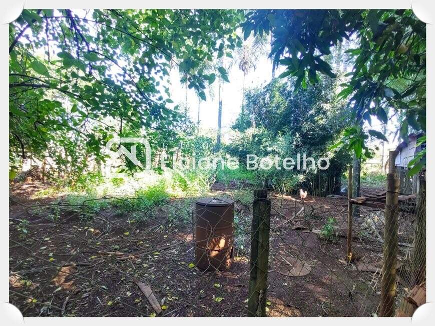 Chácara à venda no AREA RURAL DE UBERLANDIA: 