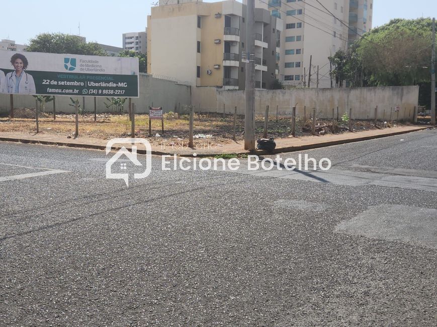 TERRENO para aluguel no SANTA MONICA: 