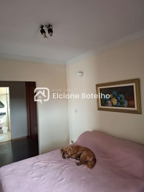 Casa para aluguel no CIDADE JARDIM: 