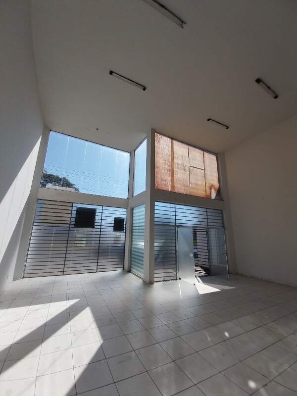 Loja para aluguel no DONA ZULMIRA: 