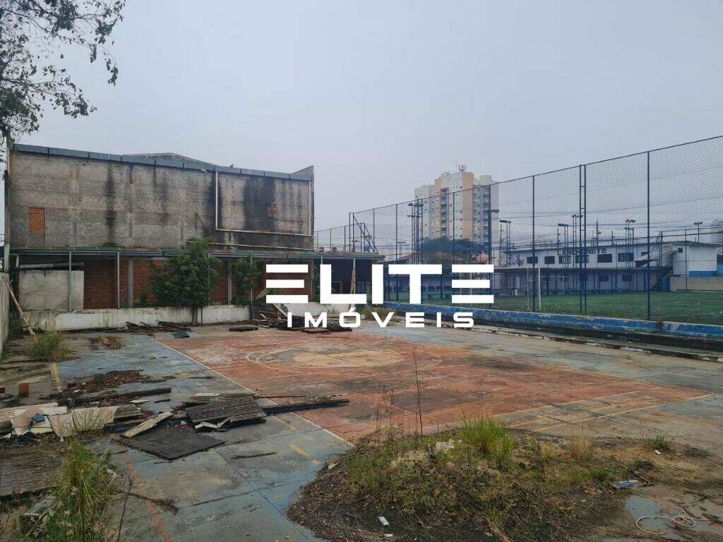 Terreno à venda no Vila Alzira: 