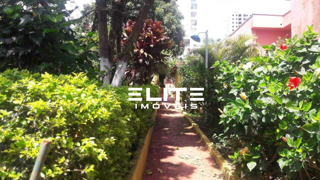 Terreno à venda no Campestre: 