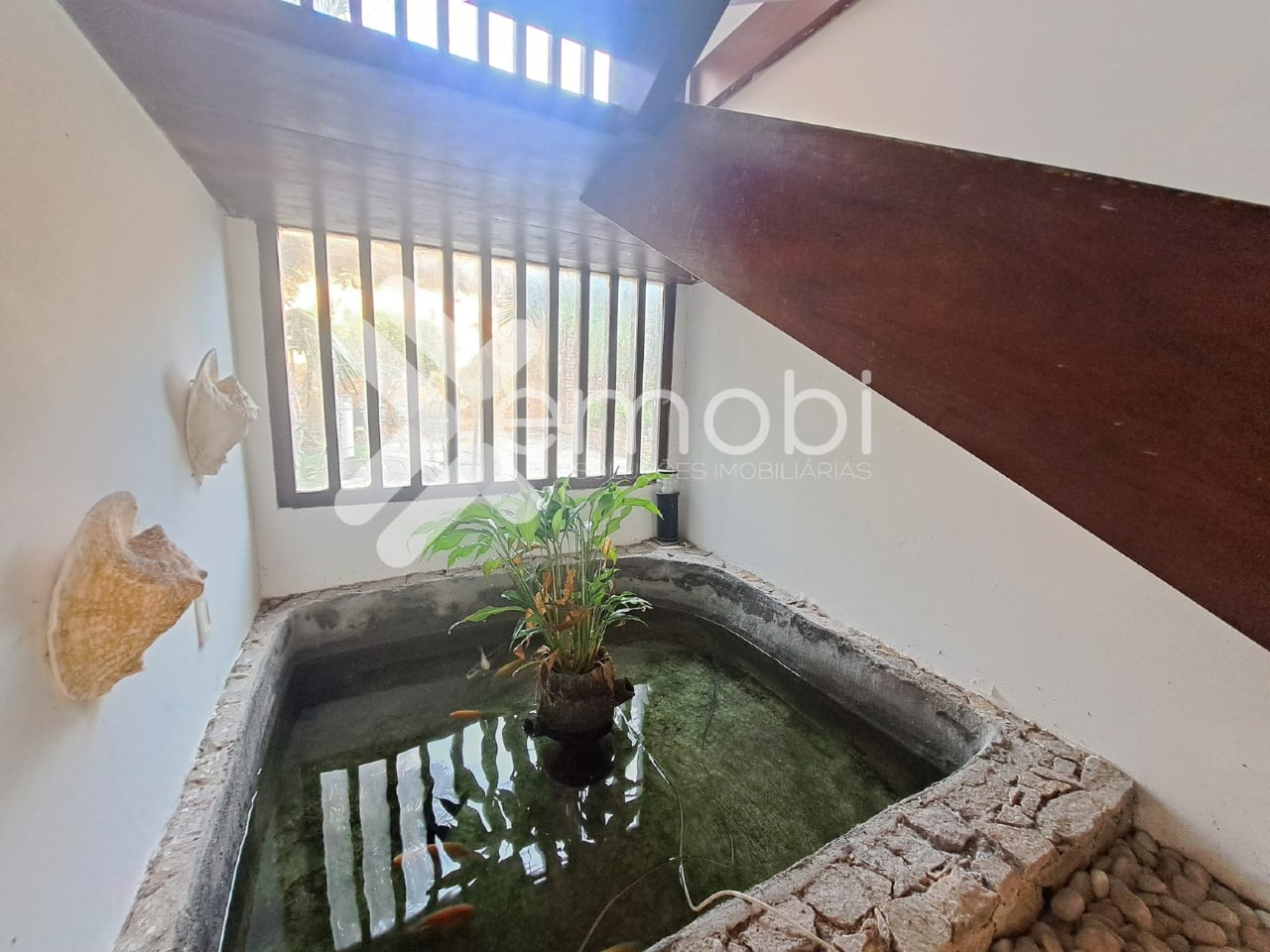 Casa à vendaCapim MacioNatal: 