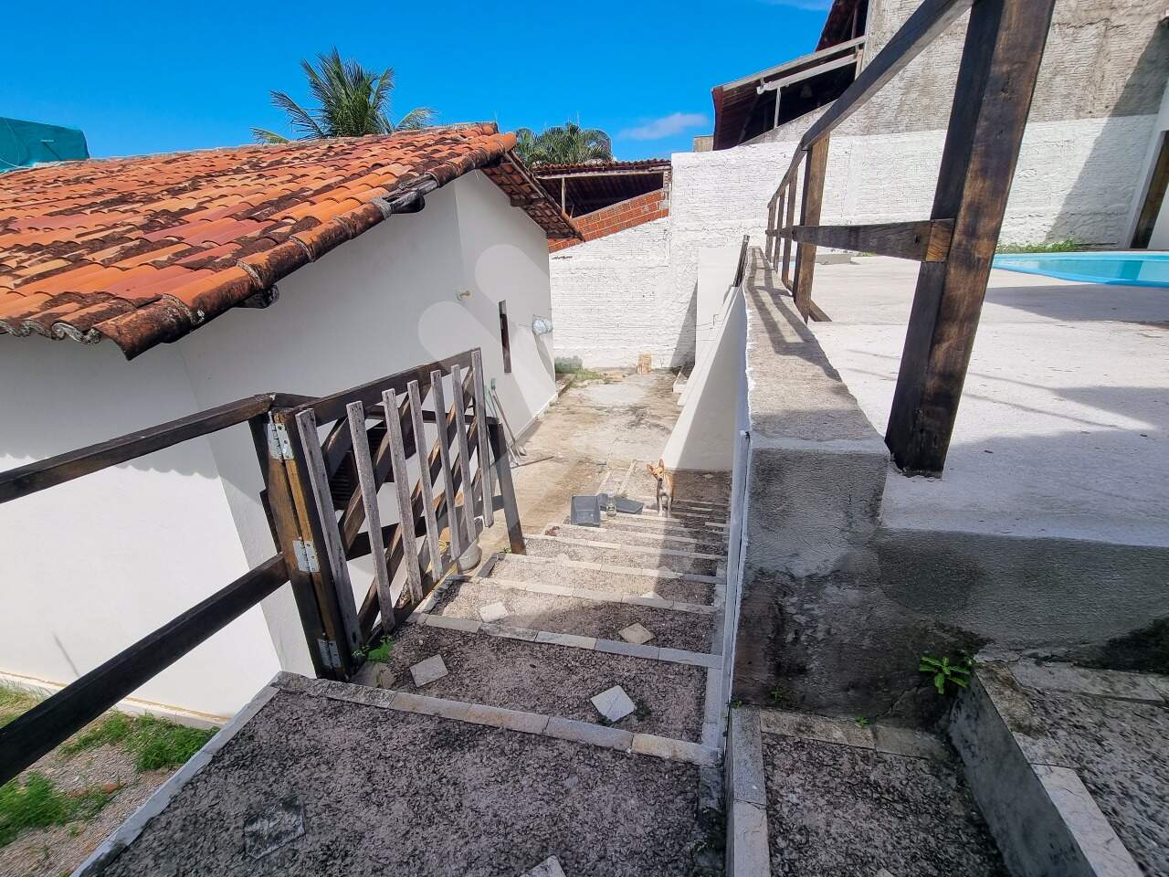 Casa à vendaCapim MacioNatal: 