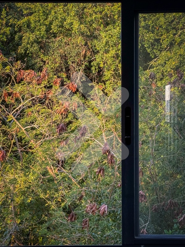 Apartamento à vendaTirolNatal: 