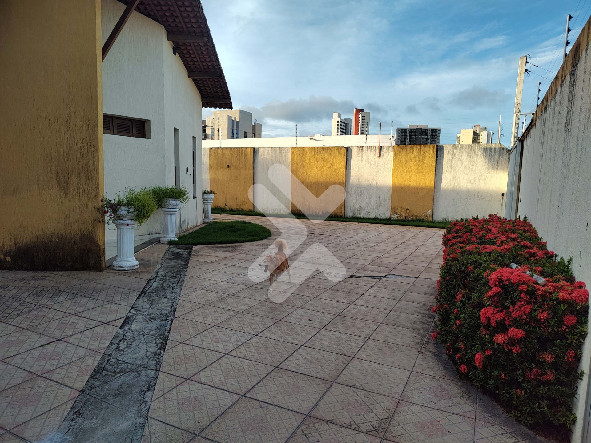 Casa à vendaCapim MacioNatal: 