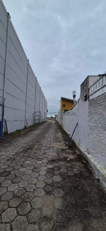 Galpão para aluguel no Morro da Bina: 