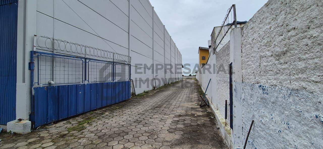 Galpão para aluguel no Morro da Bina: 