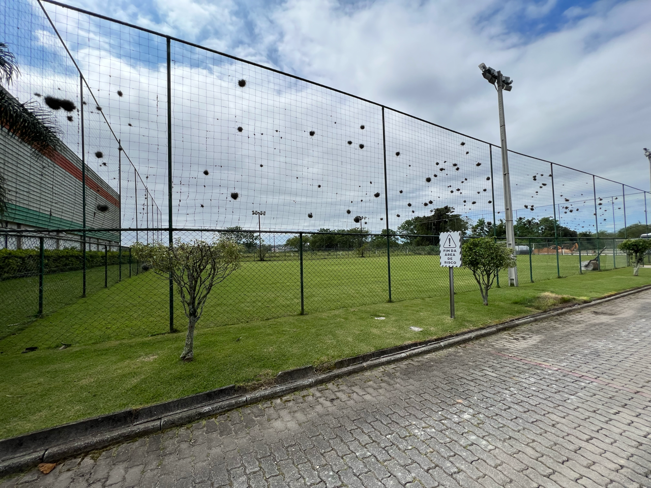 Galpão à venda no Picadas do Sul: