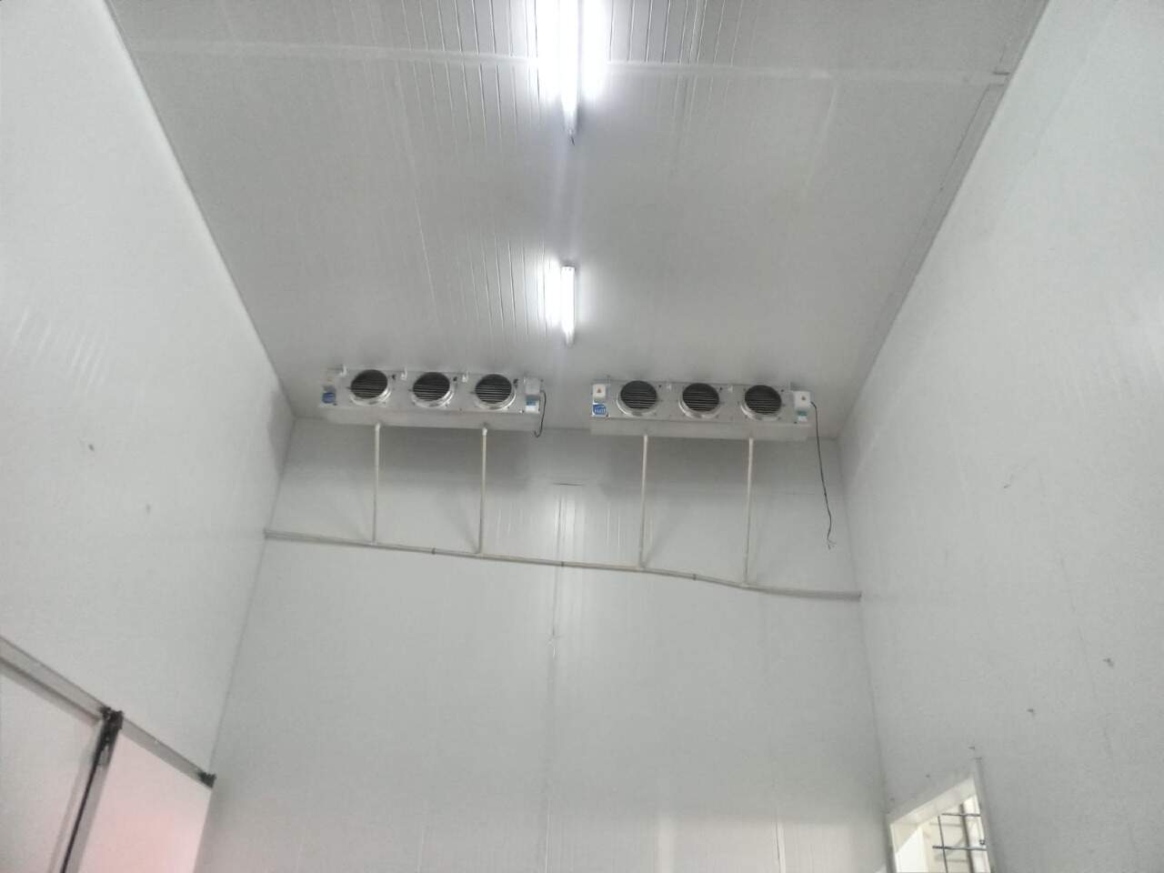 Galpão à venda no Pachecos: