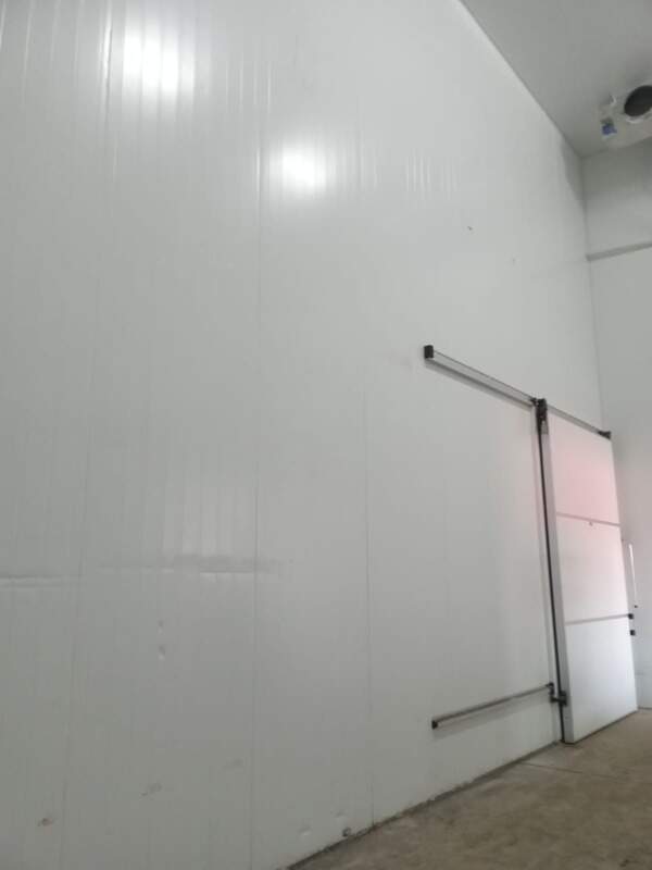 Galpão à venda no Pachecos: