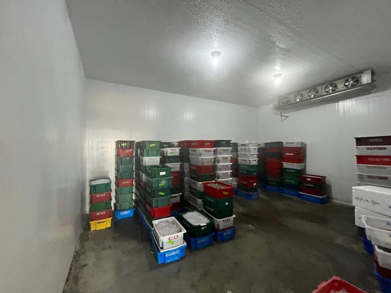 Galpão à venda no Beira Rio: