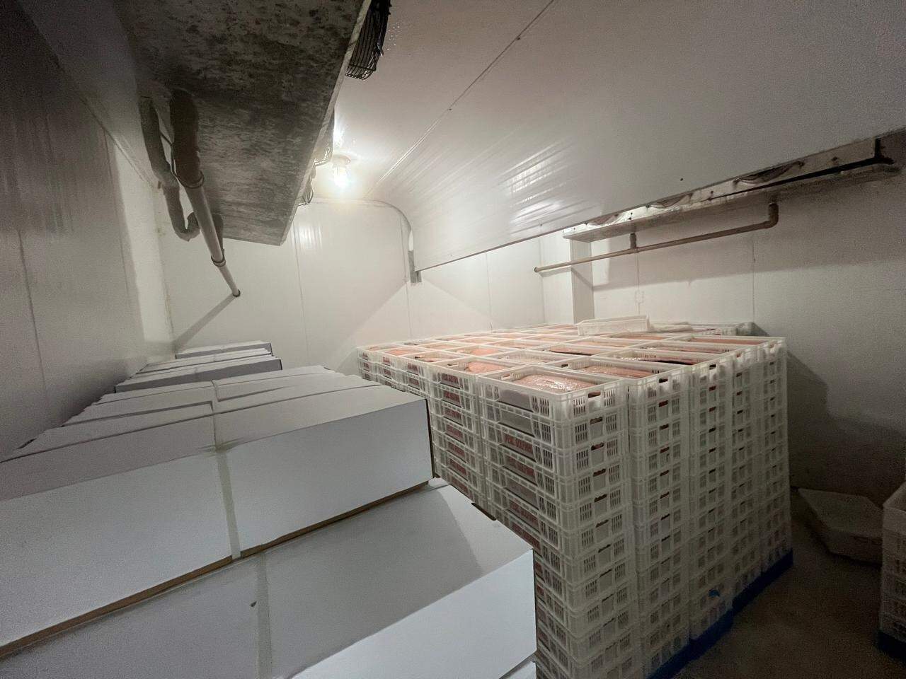 Galpão à venda no Beira Rio: