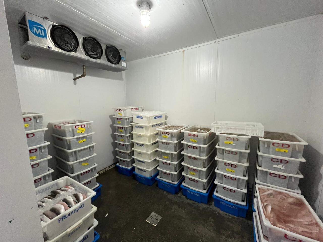 Galpão à venda no Beira Rio: