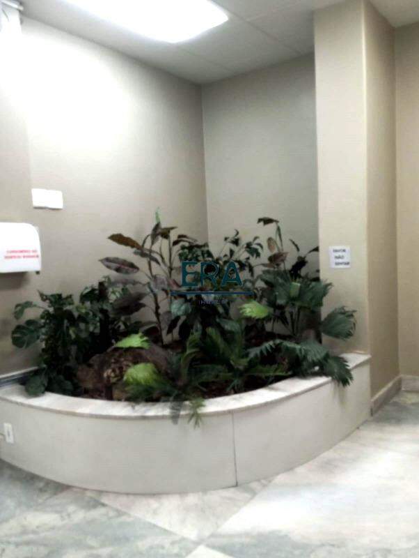 Sala-Conjunto, 30 m² - Foto 14