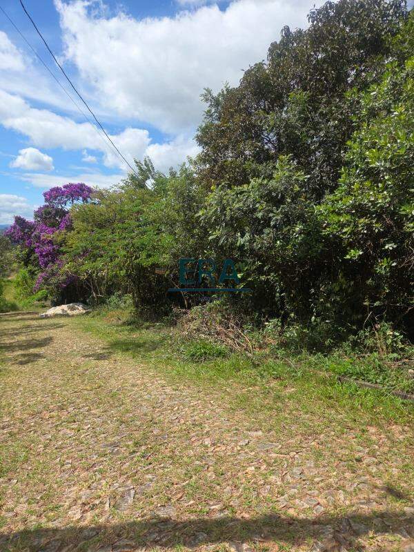Terreno, 2285 m² - Foto 6