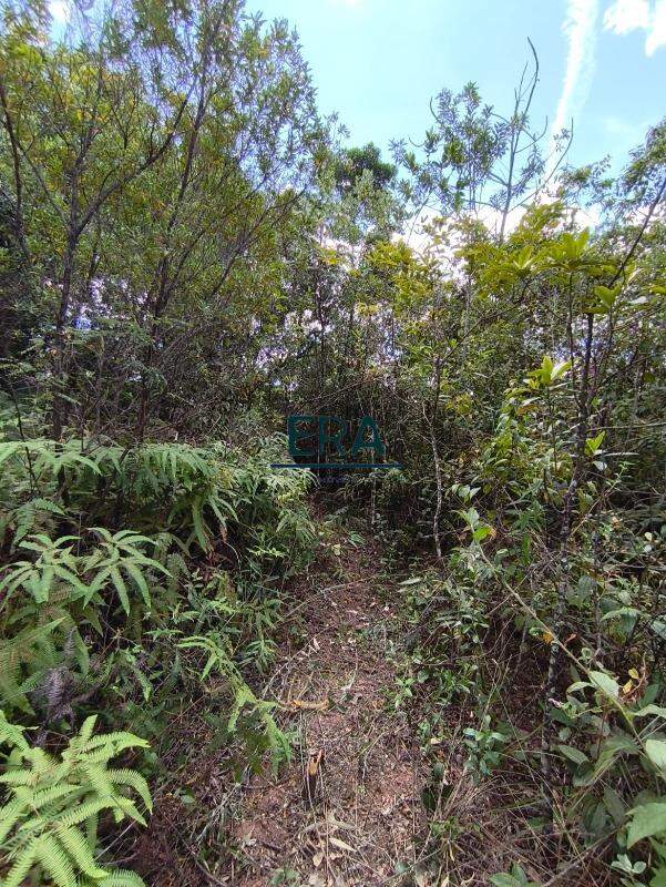 Terreno, 2285 m² - Foto 16