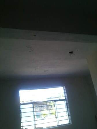 Conjunto Comercial-Sala para alugar, 25m² - Foto 5