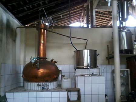 Fazenda à venda com 4 quartos, 64m² - Foto 3