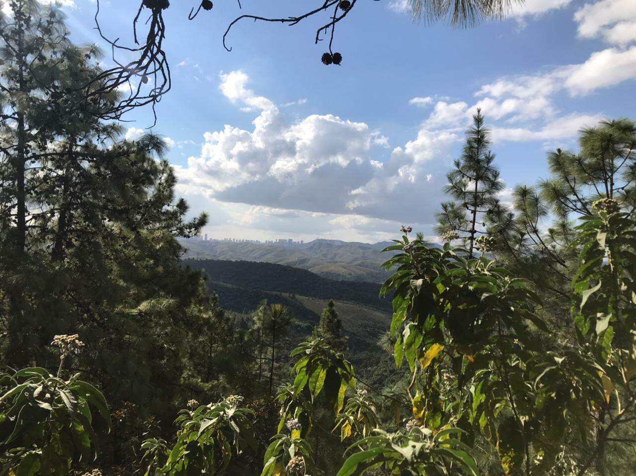 Terreno à venda, 3837m² - Foto 3