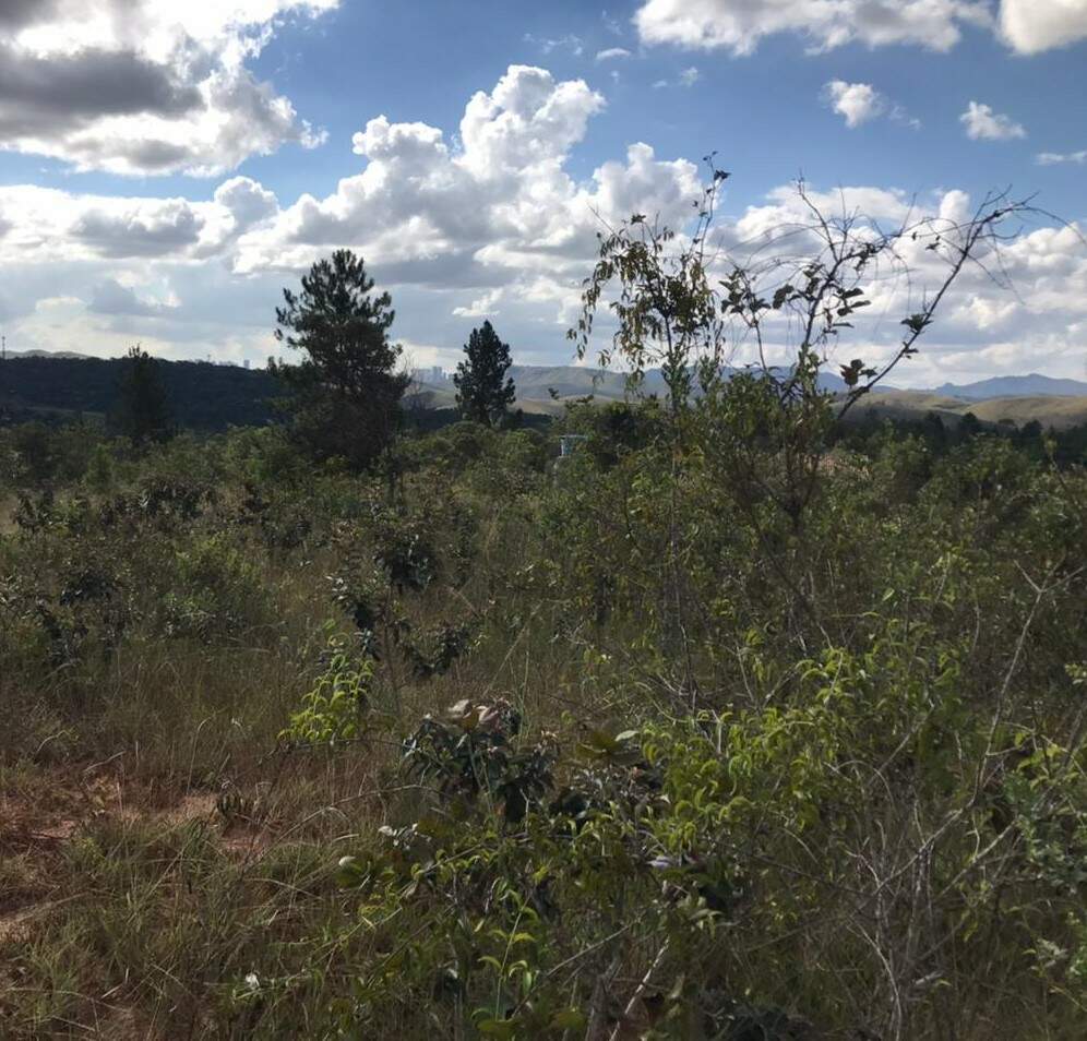 Terreno à venda, 3837m² - Foto 14