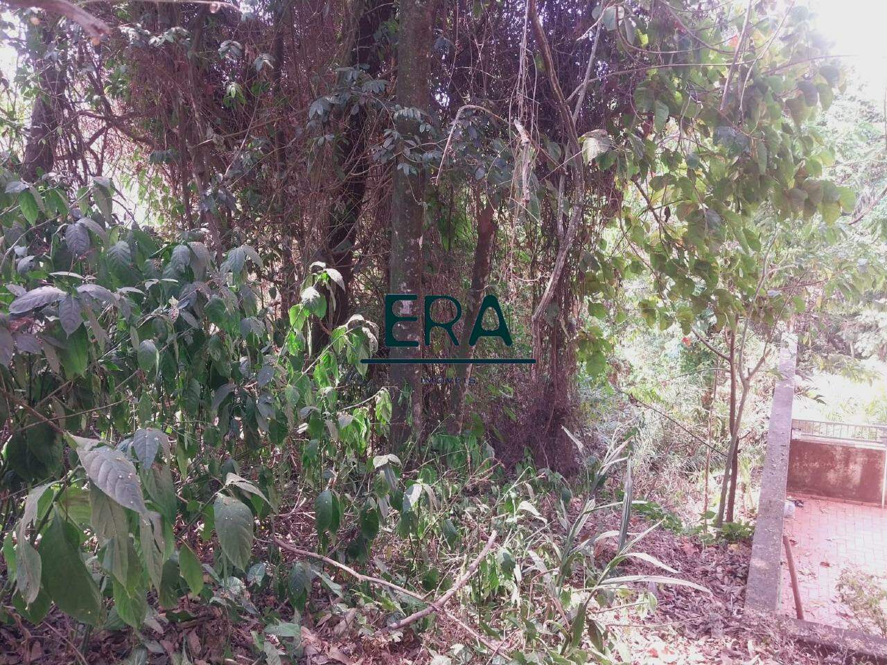 Terreno à venda, 962m² - Foto 7