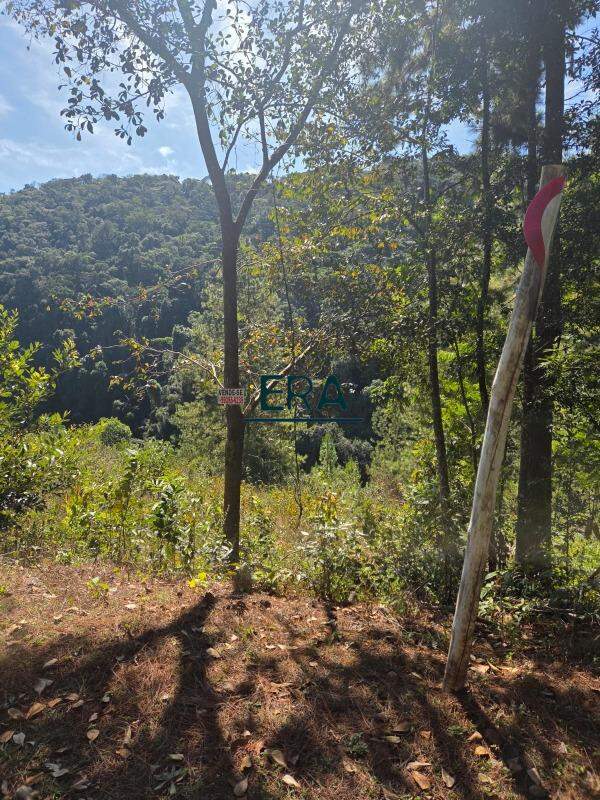 Terreno à venda, 2090m² - Foto 15
