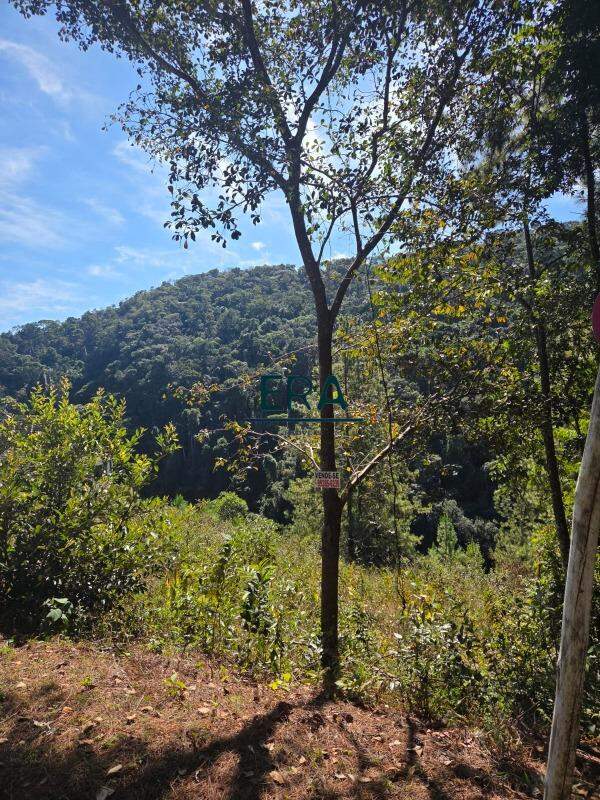Terreno à venda, 2090m² - Foto 12