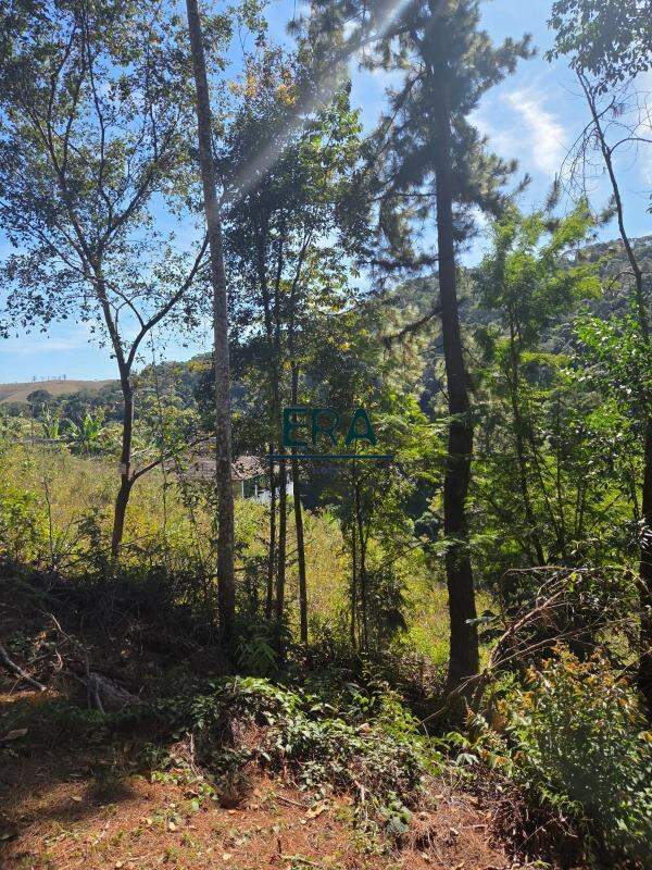 Terreno à venda, 2090m² - Foto 7