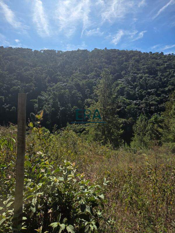 Terreno à venda, 2090m² - Foto 1