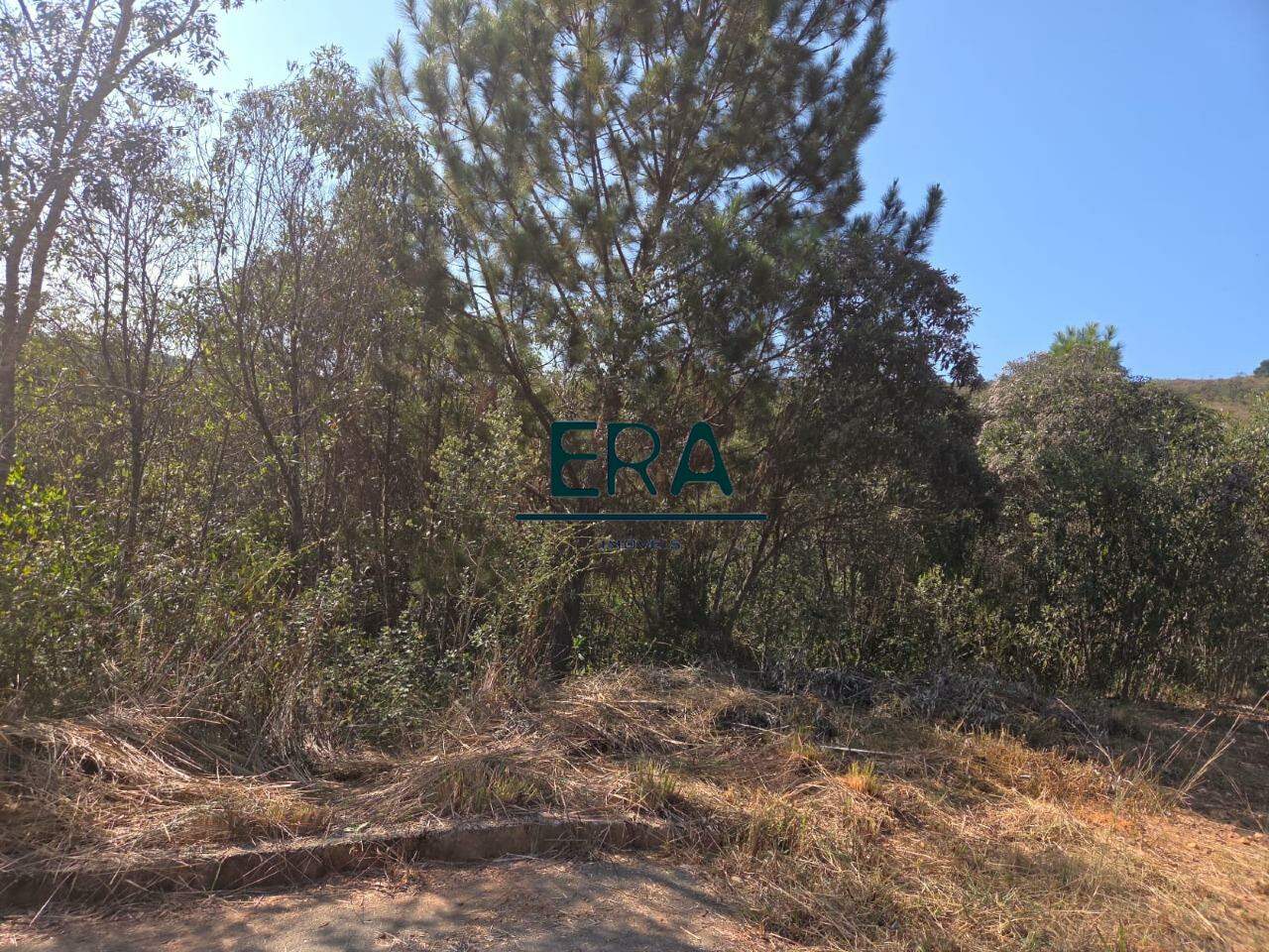 Terreno à venda, 4171m² - Foto 5