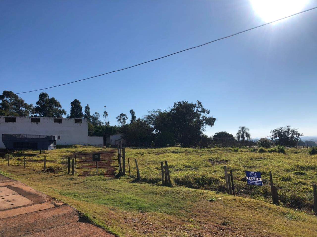 Terreno para aluguel no Jardim Regina: 