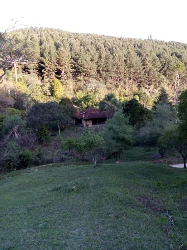 Fazenda à venda no Barra do Chapéu: 