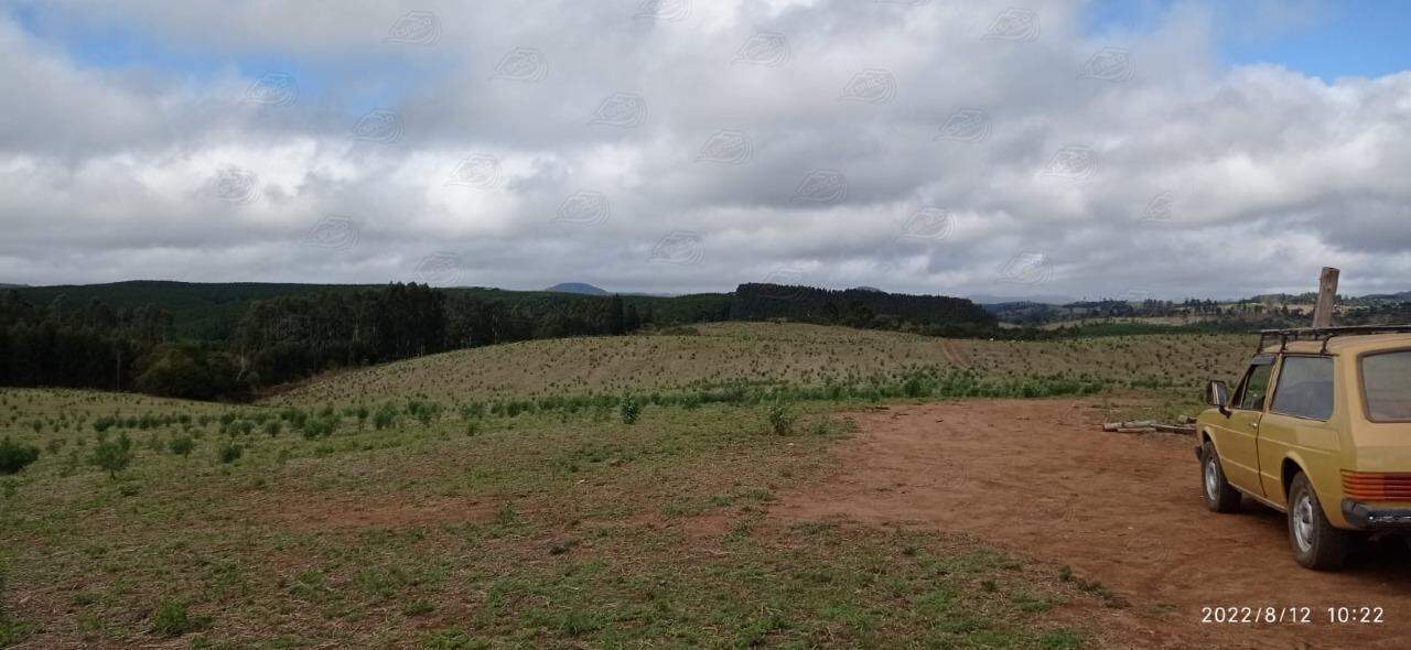 Fazenda à venda no SANTO ANTONIO: 