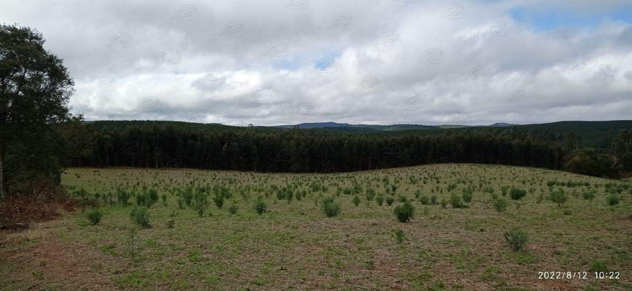 Fazenda à venda no SANTO ANTONIO: 