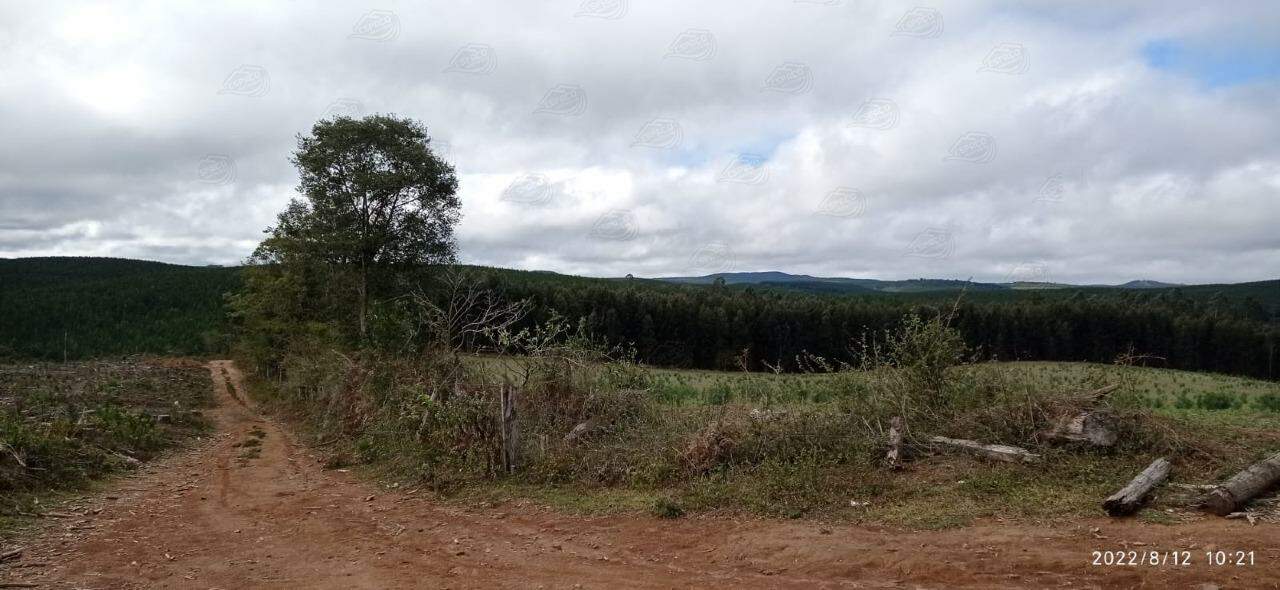 Fazenda à venda no SANTO ANTONIO: 