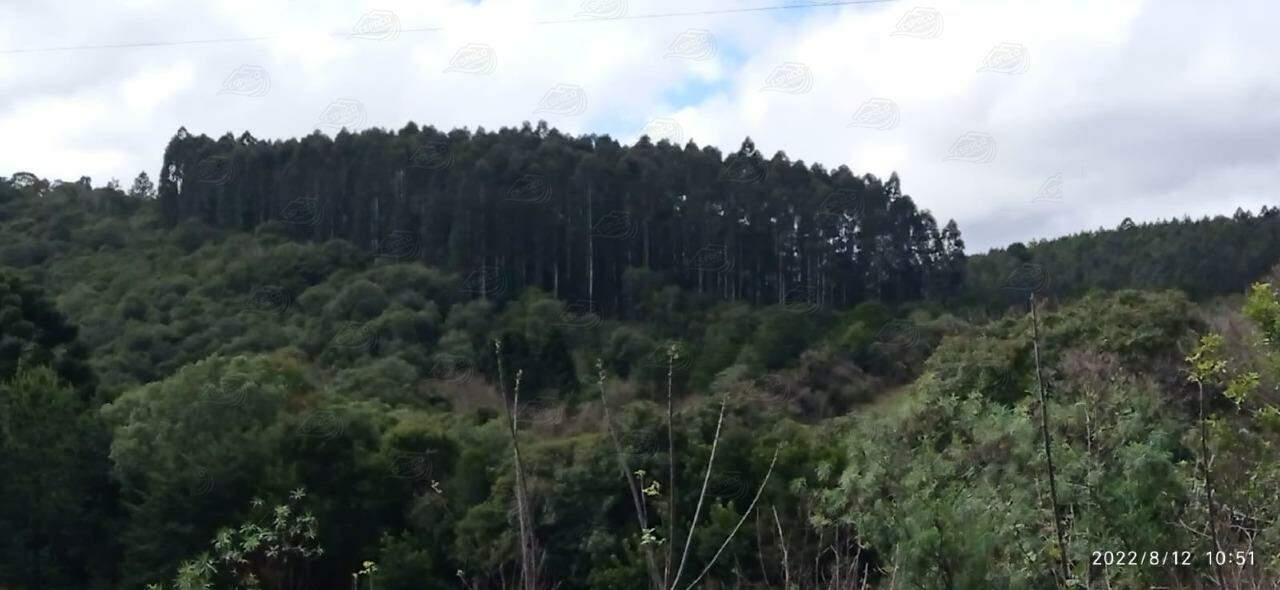 Fazenda à venda no SANTO ANTONIO: 