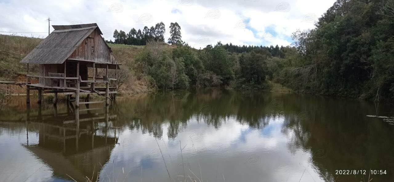 Fazenda à venda no SANTO ANTONIO: 