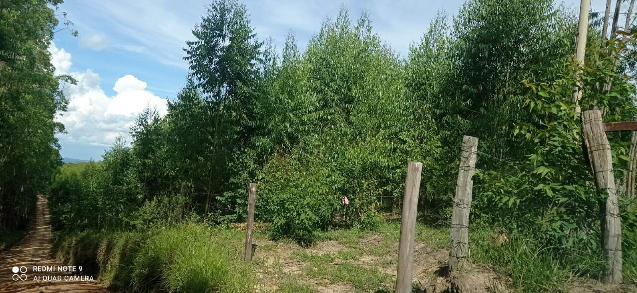 Fazenda à venda no BAIRRO BARREIRINHO: 