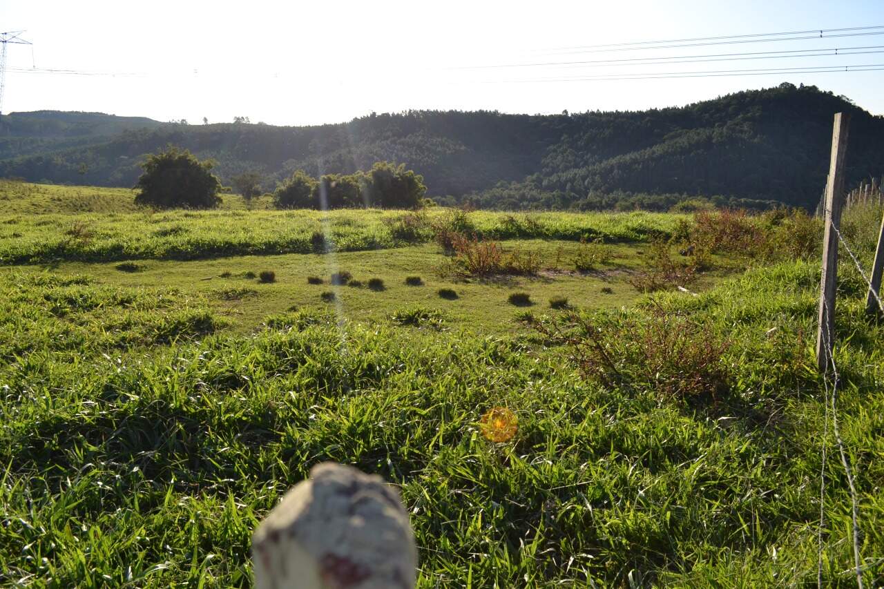 Sítio à venda no Santa Cruz dos Lopes: 