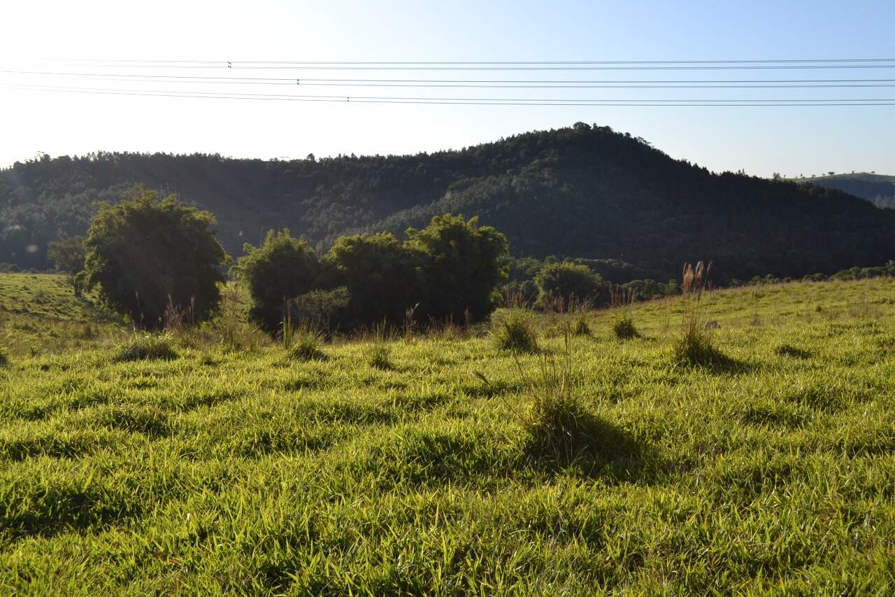 Sítio à venda no Santa Cruz dos Lopes: 