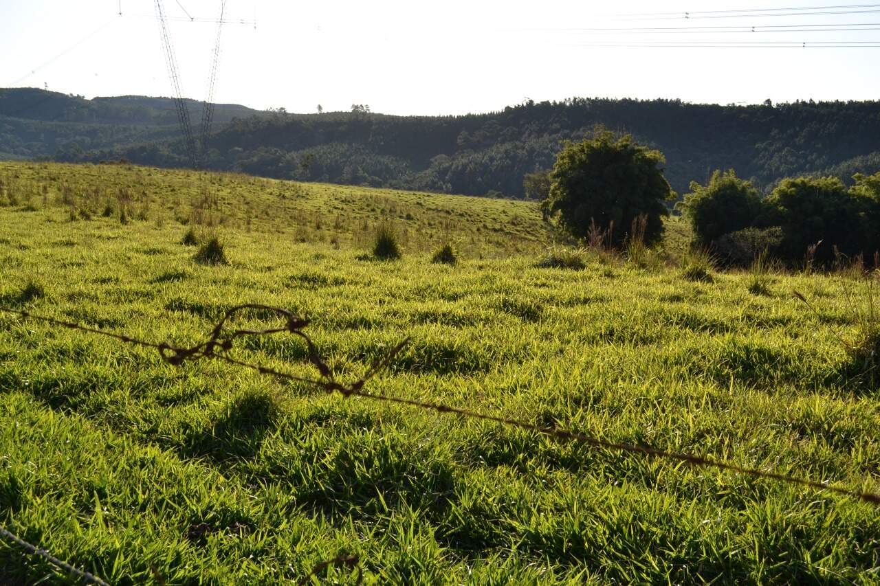 Sítio à venda no Santa Cruz dos Lopes: 