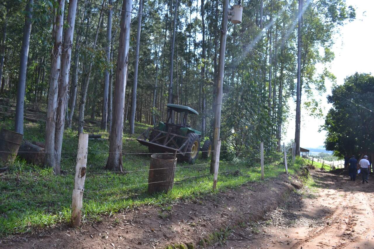 Sítio à venda no Morro Chato: 