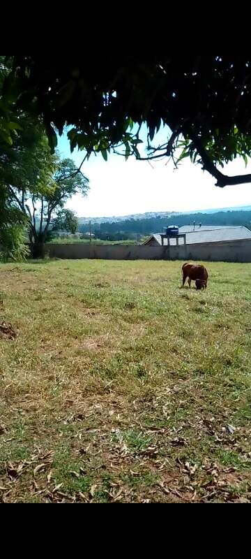Terreno à venda no Itaporanga: 