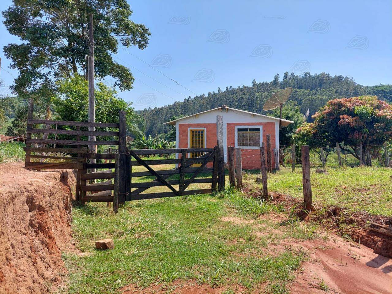 Sítio à venda no Morro Chato: 