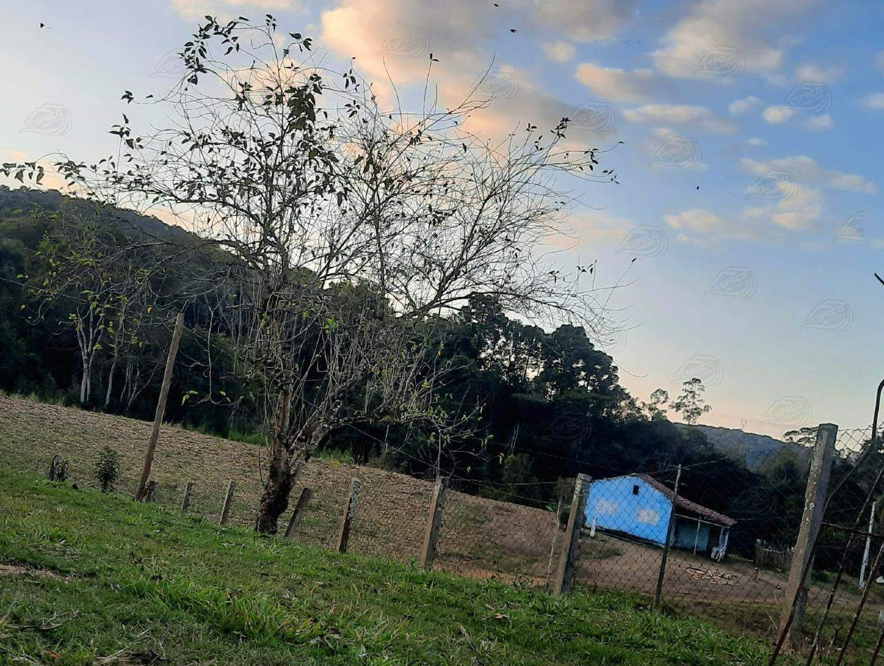 Sítio à venda no Água Fria de Baixo: 