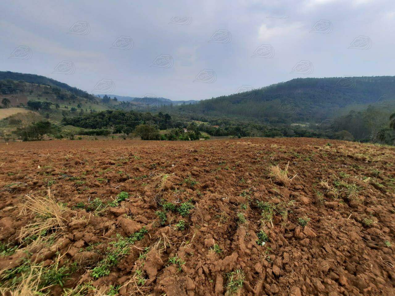 Sítio à venda no Água Fria de Baixo: 