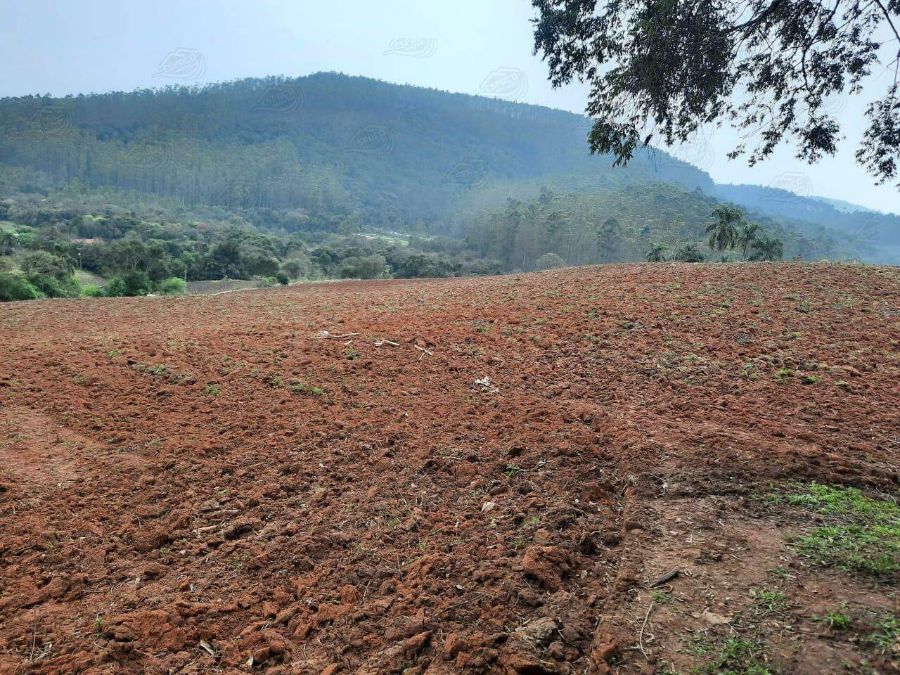 Sítio à venda no Água Fria de Baixo: 