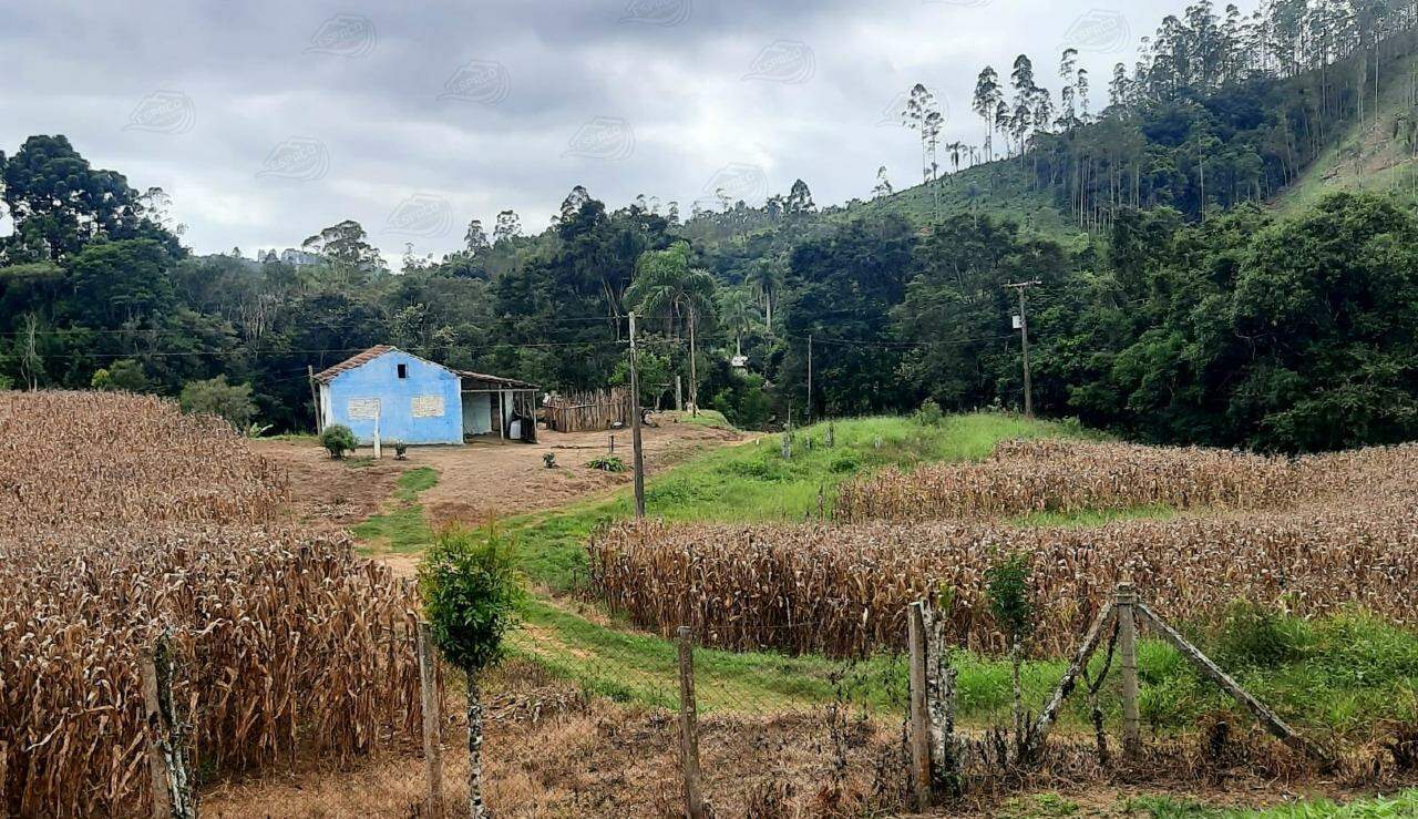 Sítio à venda no Água Fria de Baixo: 